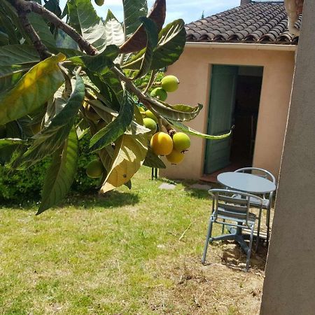 Grand Studio La Roquette-sur-Siagne Eksteriør bilde